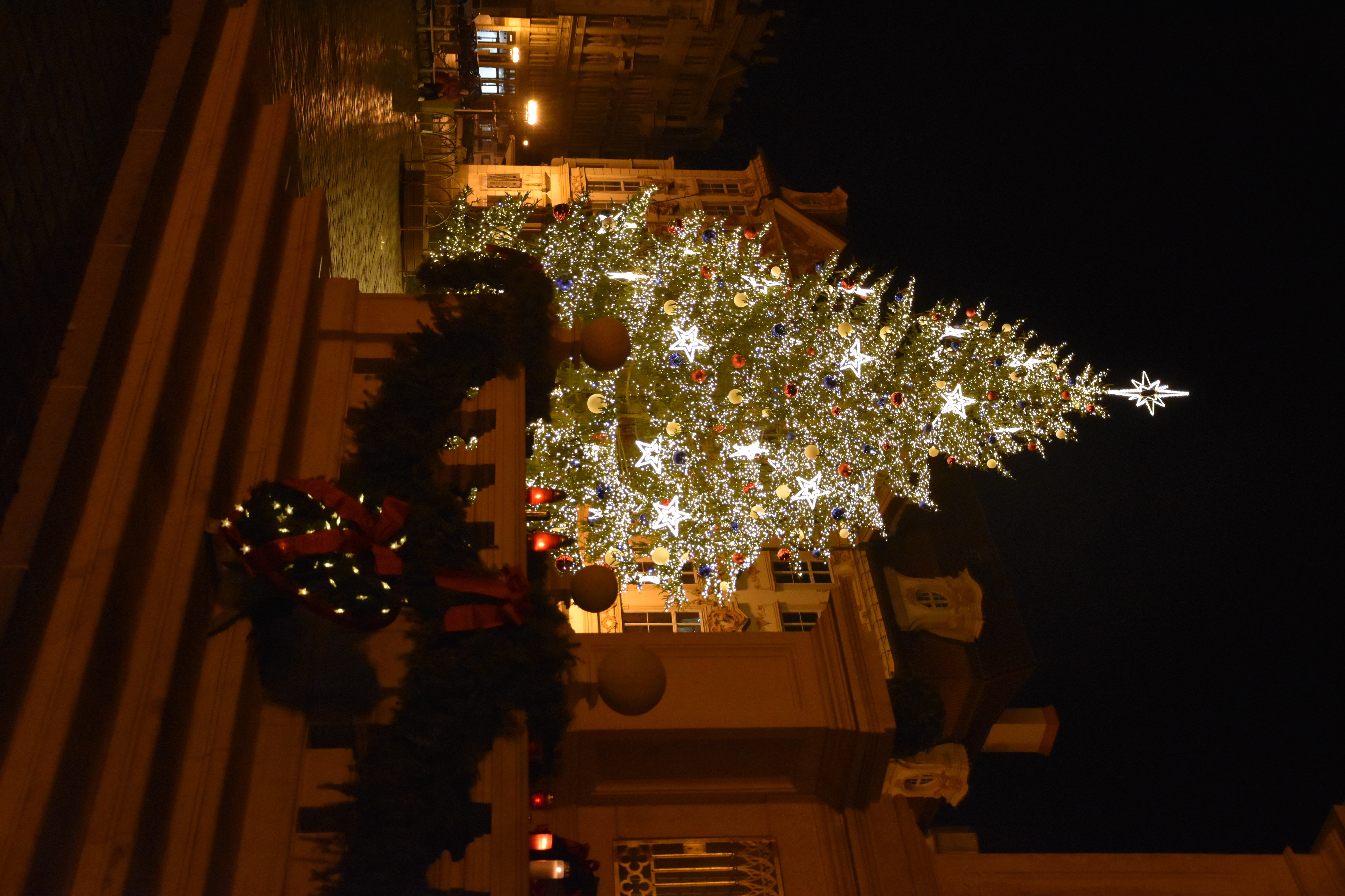 dsc_0105.jpg