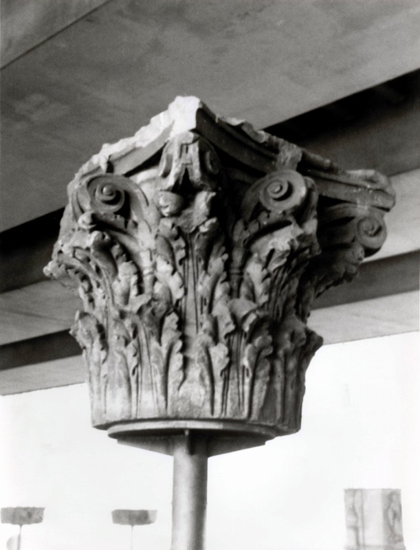 ms-snimky-bradna-101.jpg