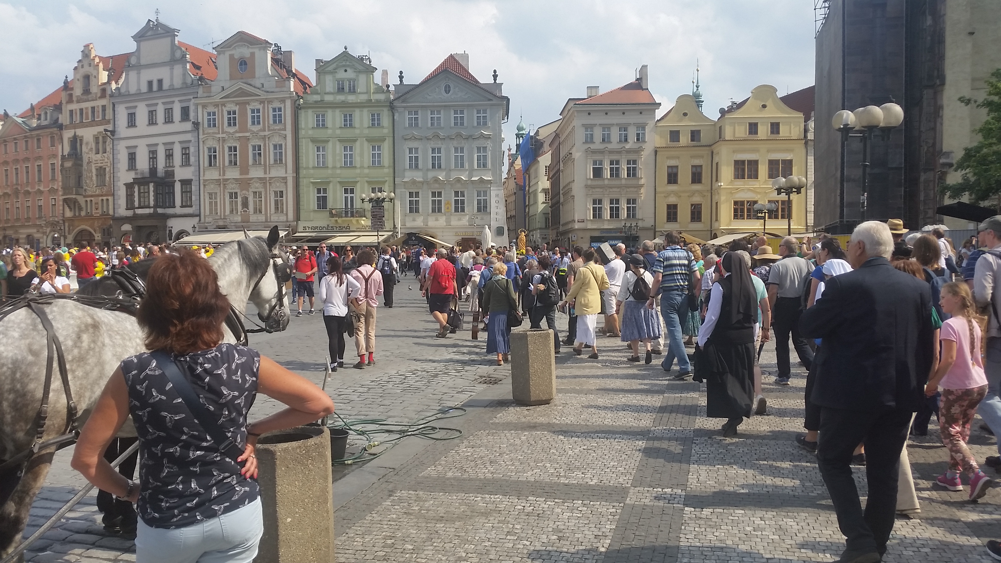 20180512_152812.jpg