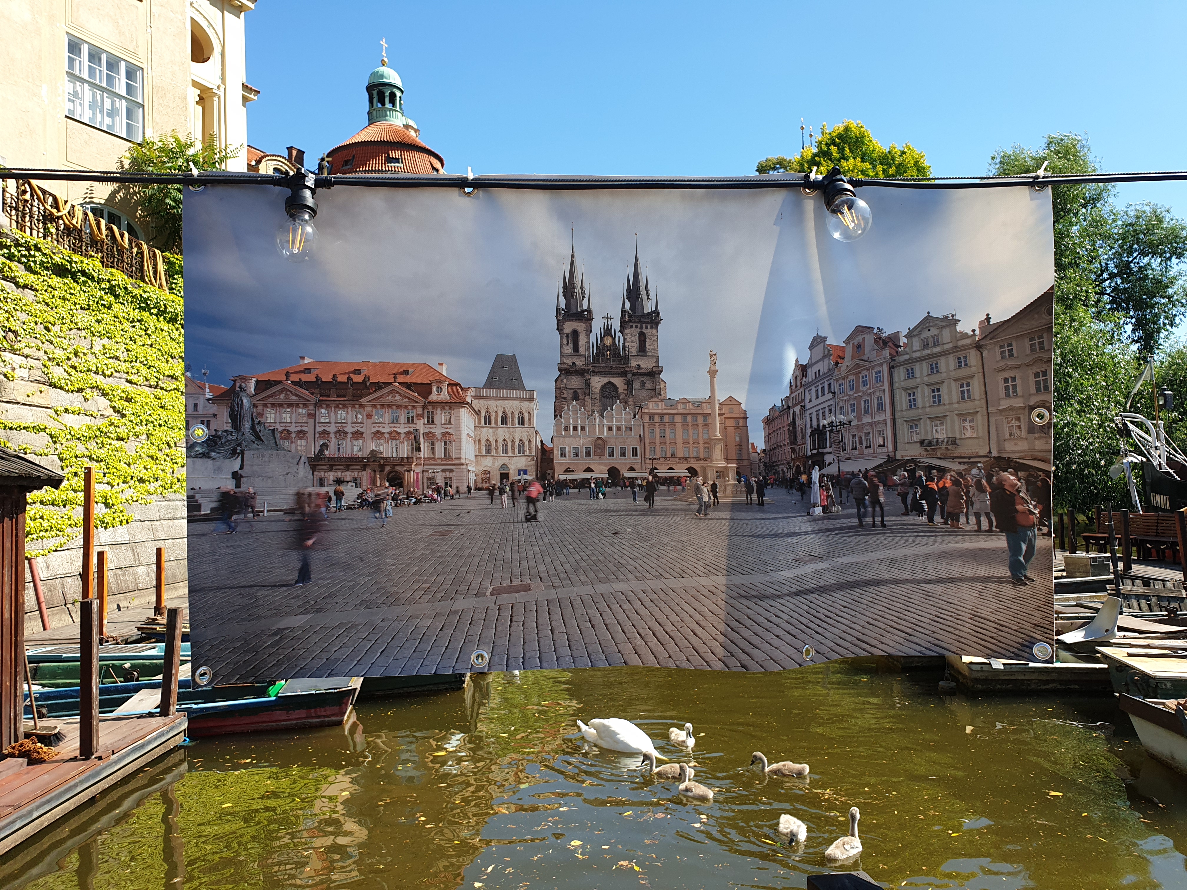 20190627_155217.jpg